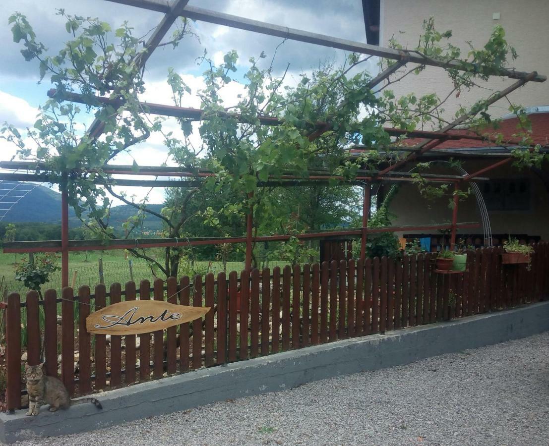 Studio Apartments Ante Rakovica Exterior photo